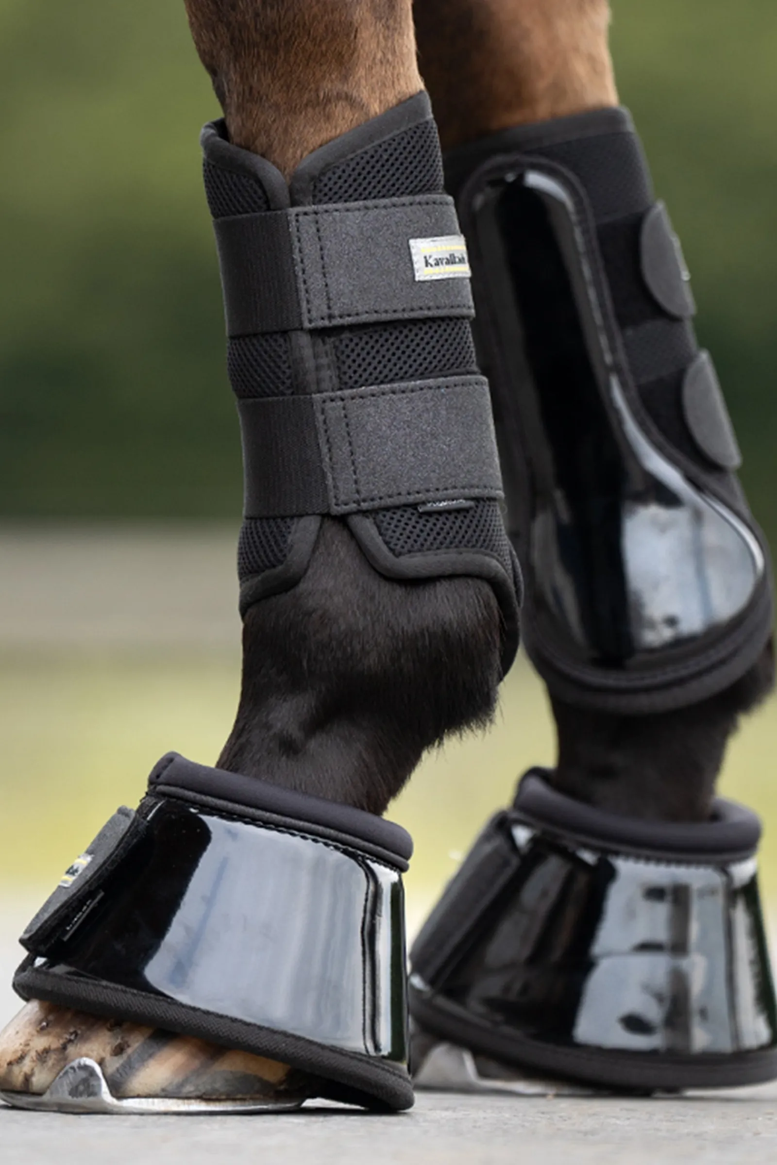 Kavalkade Star Over Reach Boots (1 Pair)* Over Reach Boots