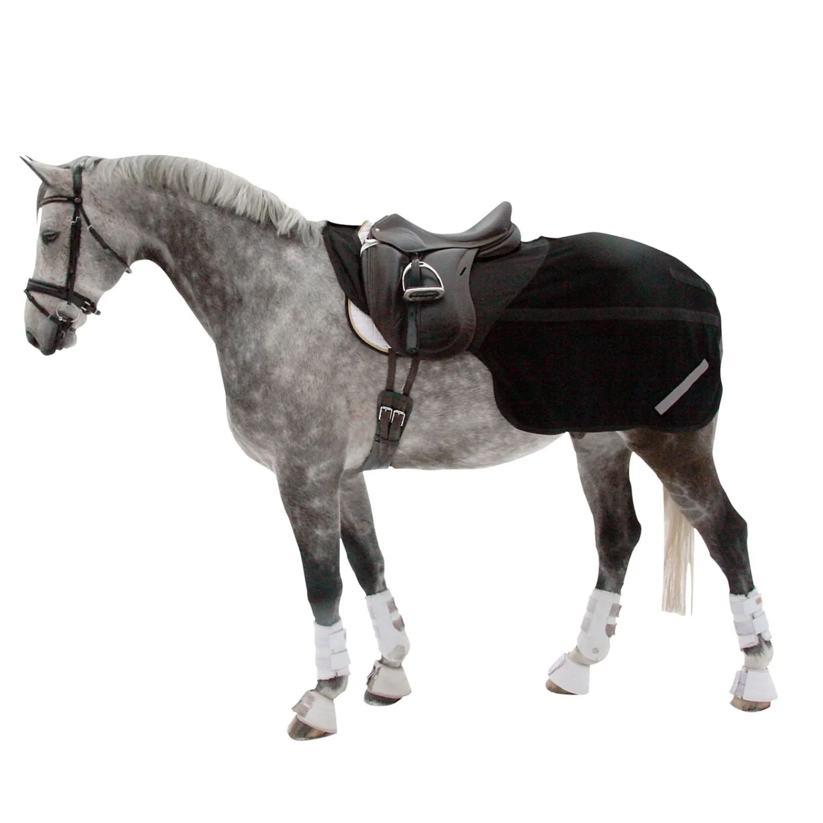 Back on Track Supreme Ausreitdecke* Reit- & Nierendecken