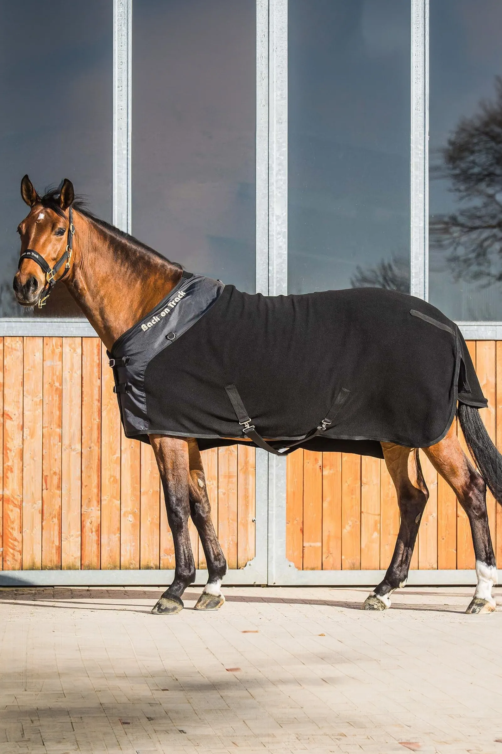 Back on Track Supreme Fleecedecke* Therapie-Decken|Therapie-Decken
