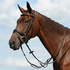 Collegiate Syntovia+ Plain Flat Running Martingale* Hilfszügel|Trainingshilfen