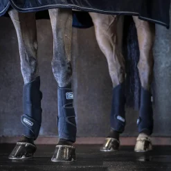LeMieux Tendon Chill Kühlgamaschen* Stall- & Transportgamaschen