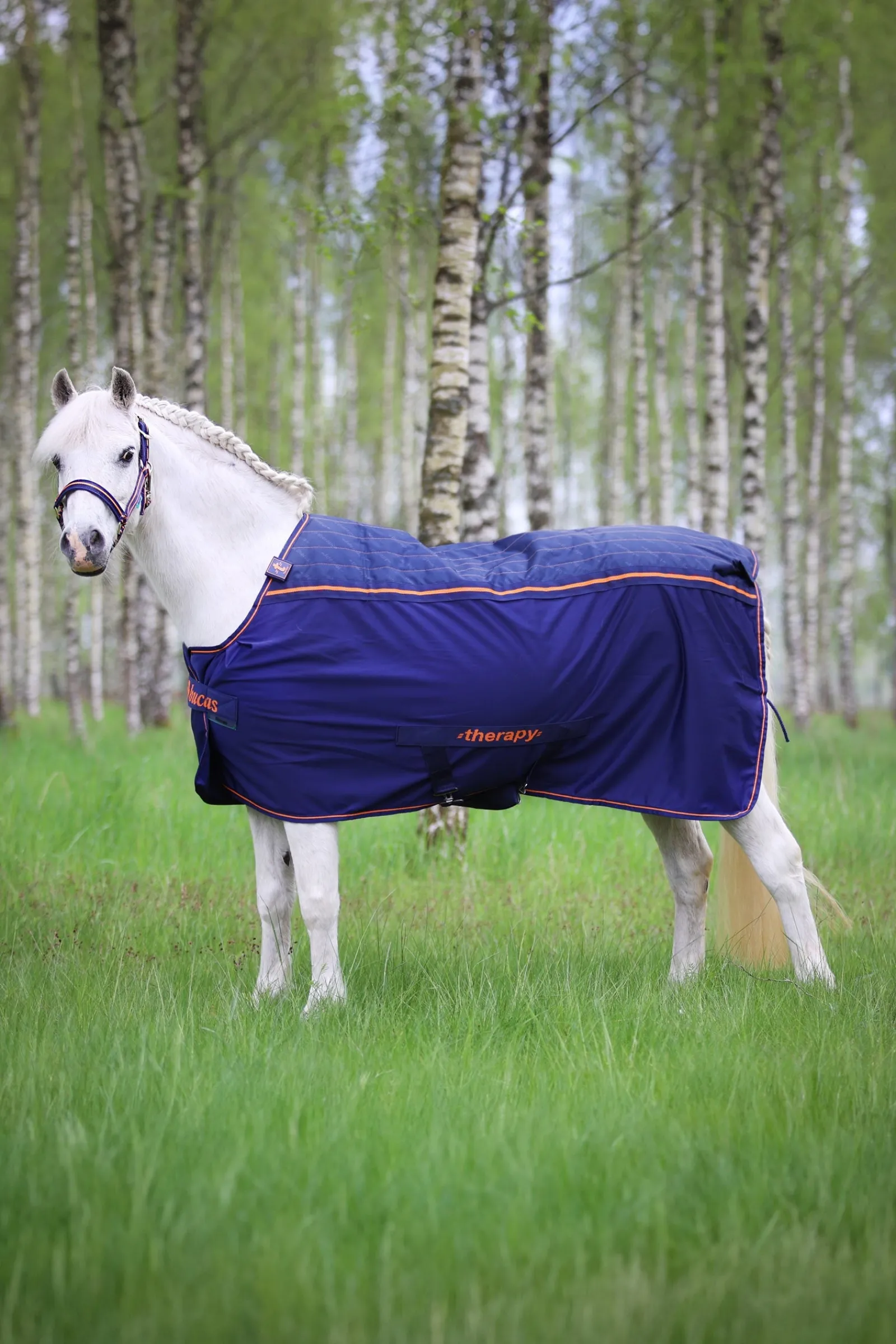 Bucas Therapy Abschwitzdecke für Ponys, 0 g* Therapie-Decken|Therapie-Decken