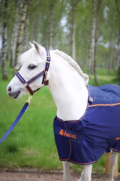 Bucas Therapy Abschwitzdecke für Ponys, 0 g* Therapie-Decken|Therapie-Decken