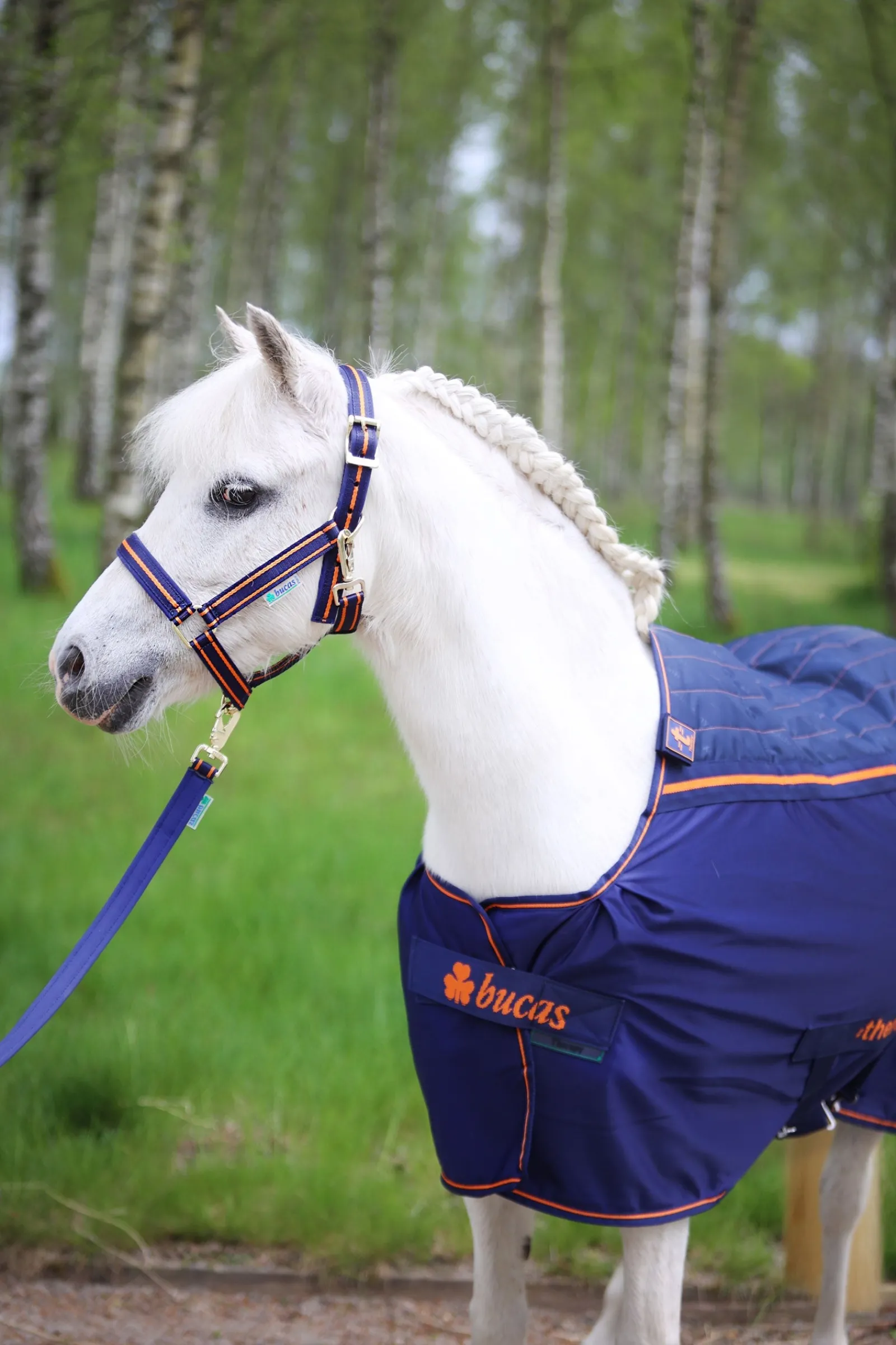 Bucas Therapy Abschwitzdecke für Ponys, 0 g* Therapie-Decken|Therapie-Decken