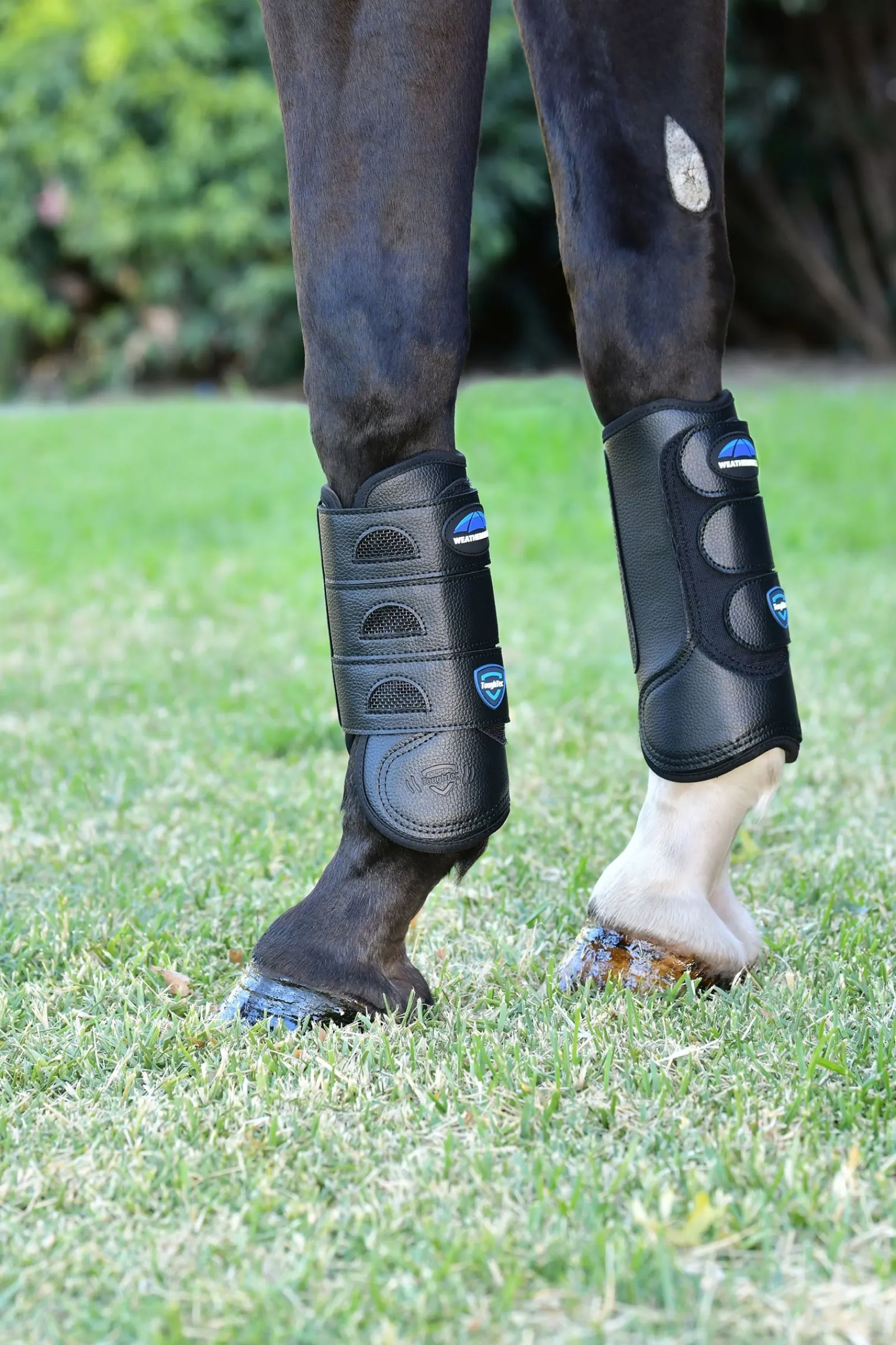Weatherbeeta Tough-Tec Eventing Front-Gamaschen* Gamaschen