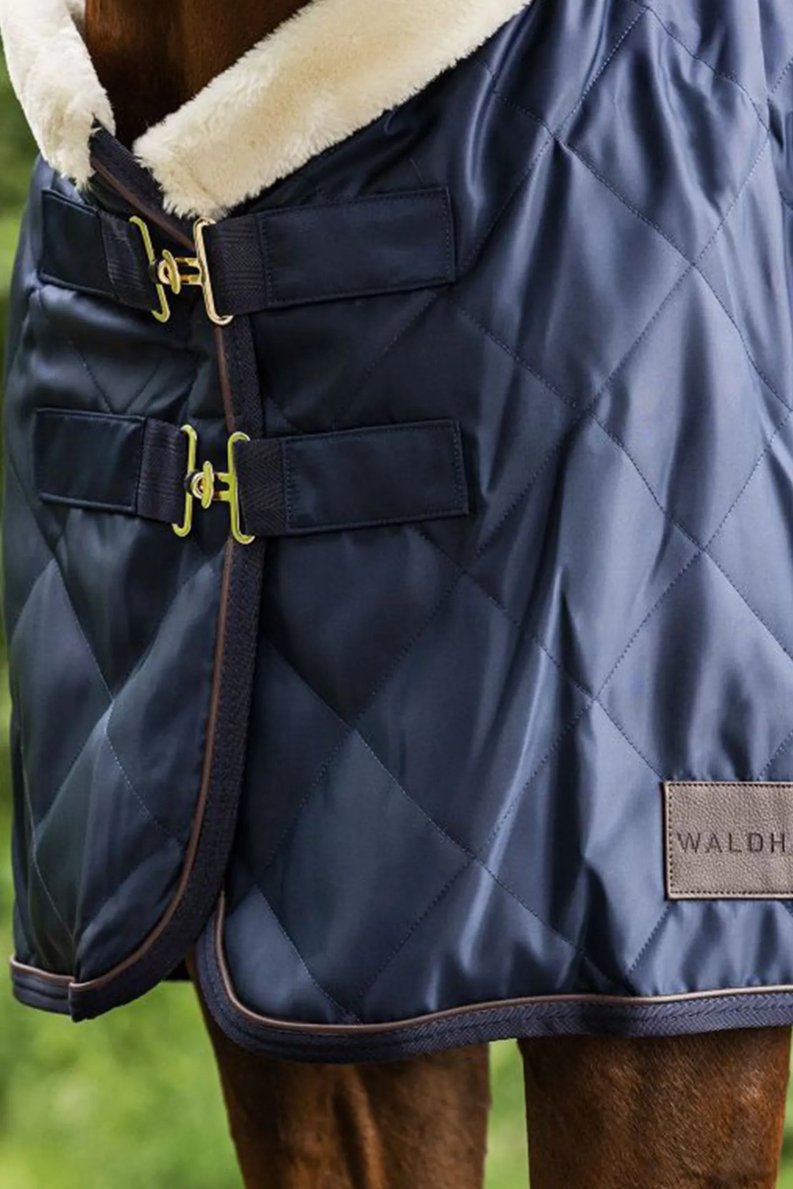 Waldhausen Transportdecke Exclusive, 50g* Abschwitzdecken