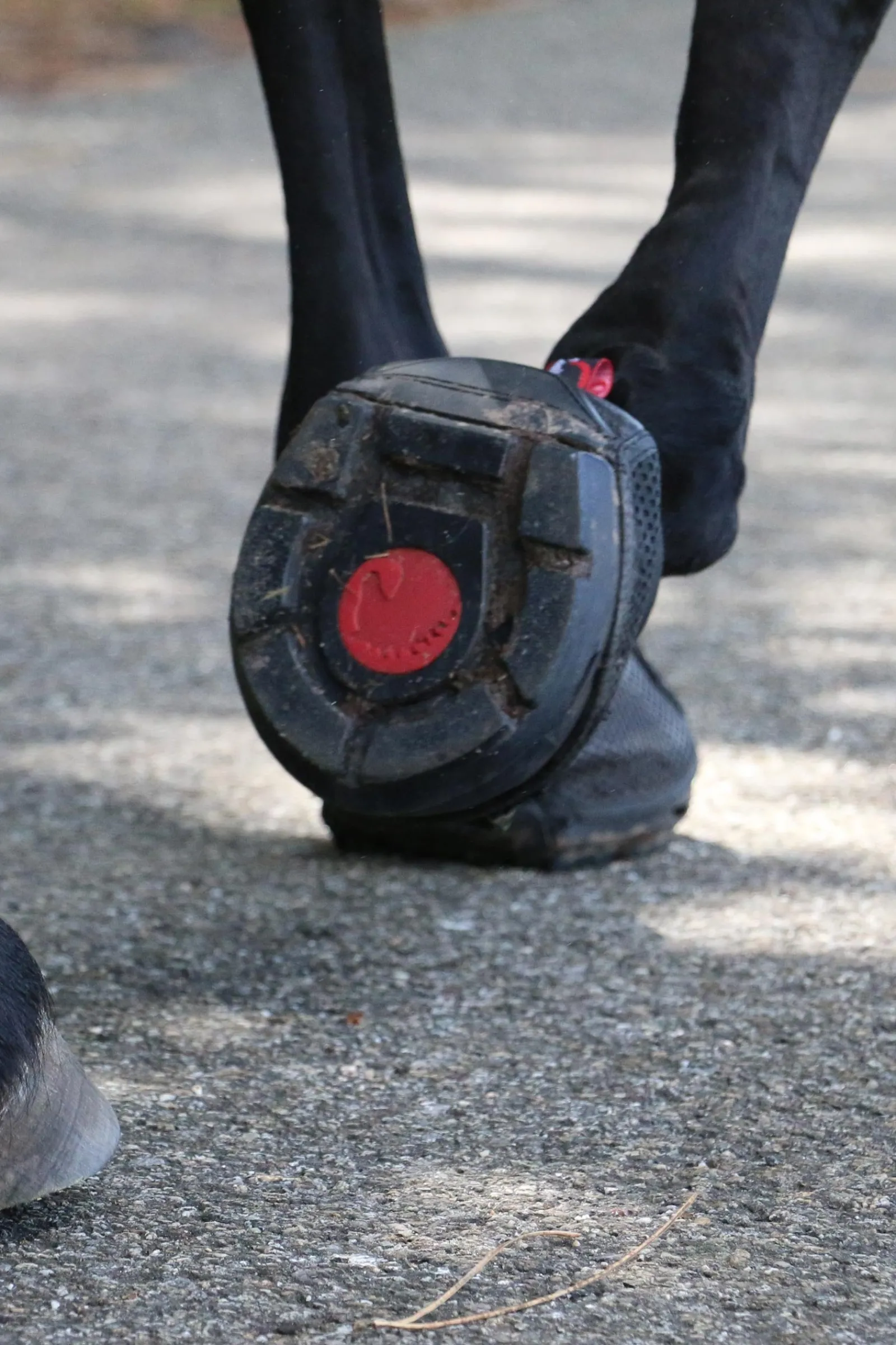 Cavallo Hoof Boots F.R.A. Trek Hufschuhe (schmal/Paar)* Hufschuhe & Medizinische Hufschuhe