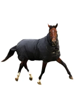 Horseware Trot Plus Winterdecke mit abnehmbarem Halsteil, 350g* Mittelschwere & Schwere Winterdecken