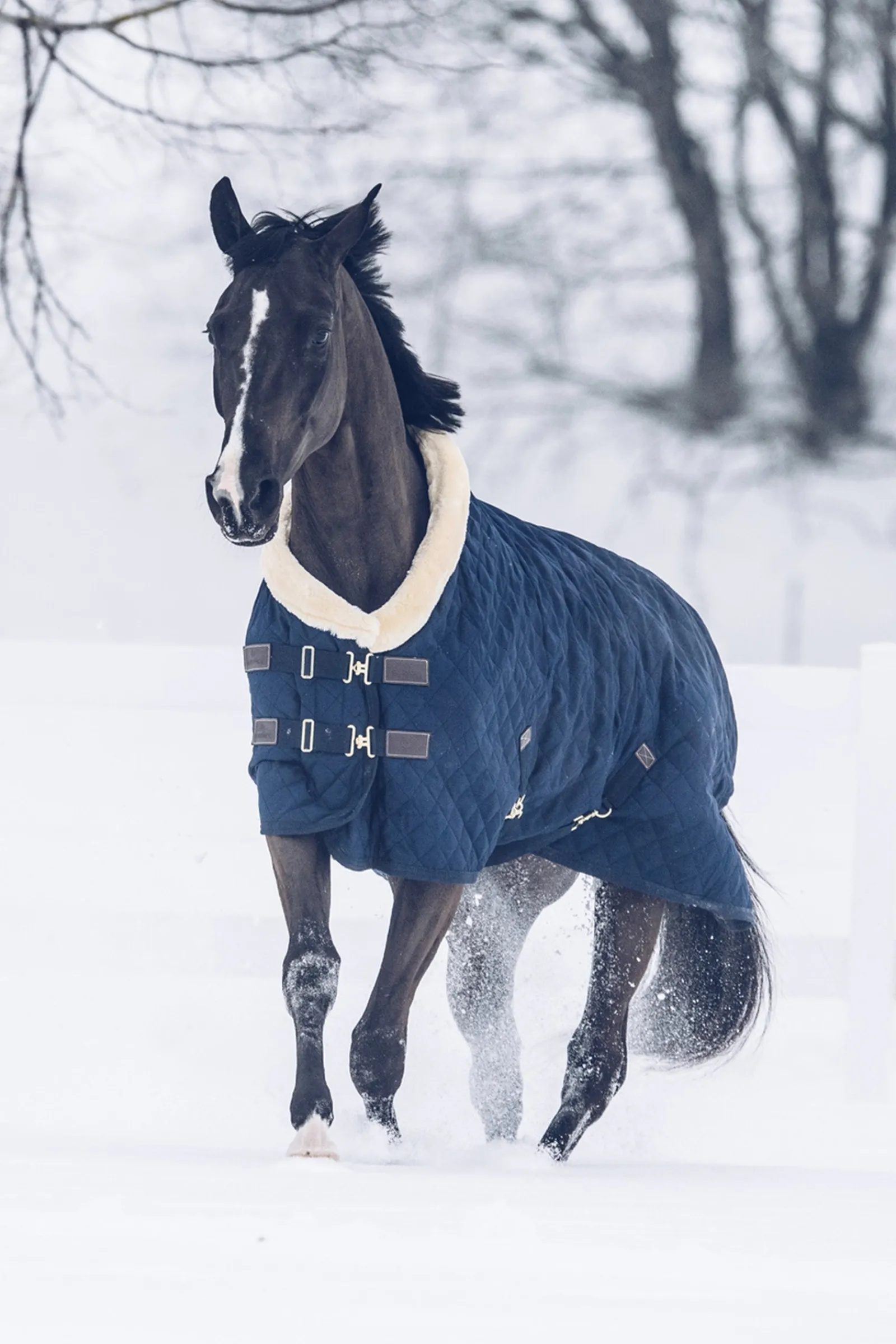 Kentucky Horsewear Turnierdecke,160g* Stall- & Unterdecken