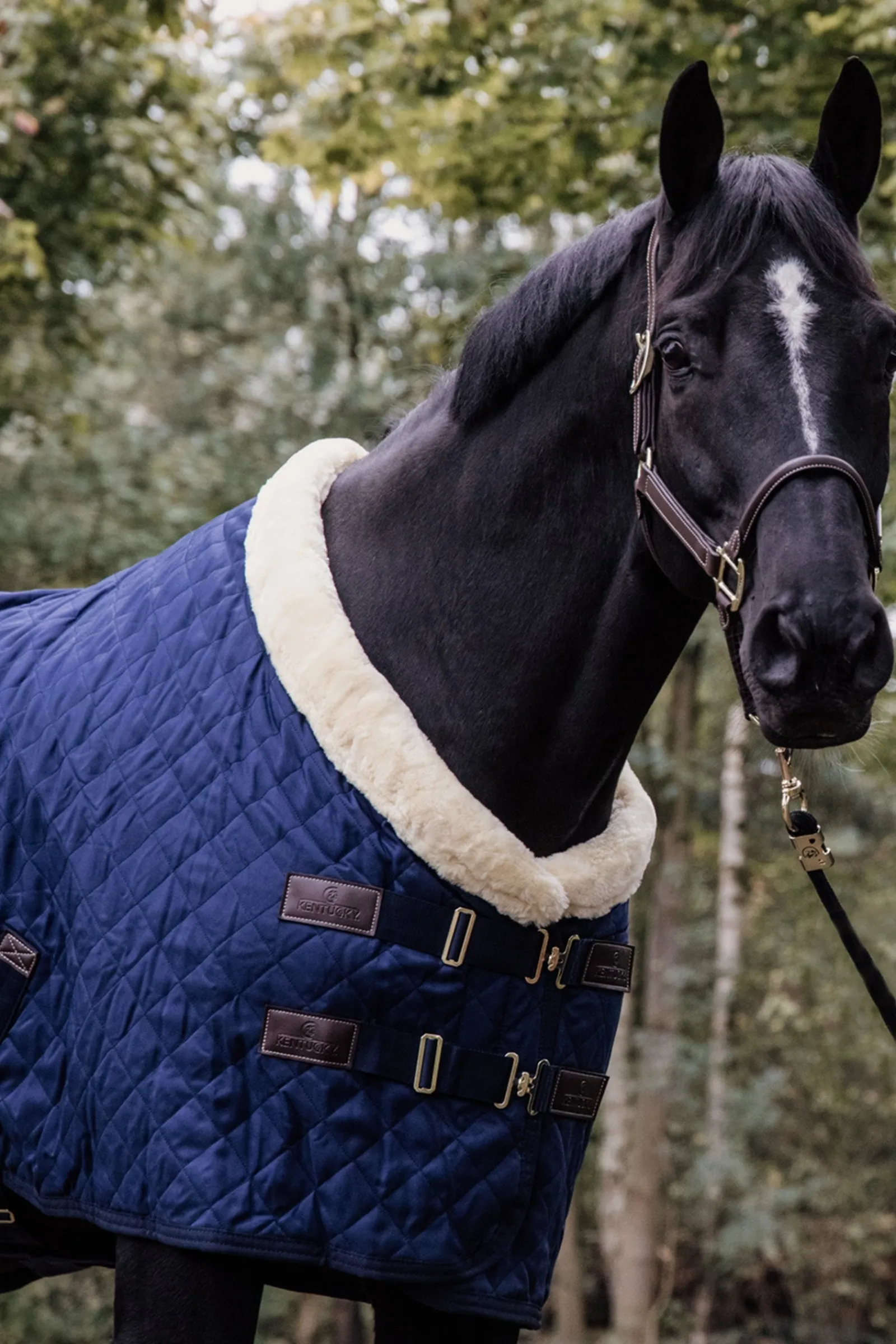 Kentucky Horsewear Turnierdecke,160g* Stall- & Unterdecken