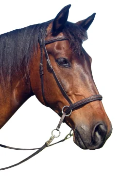 F.R.A. Freedom Riding Articles Ulan Bitless Bridle (System 5) Leather w/ Leather Reins* Trensen & Nasenriemen