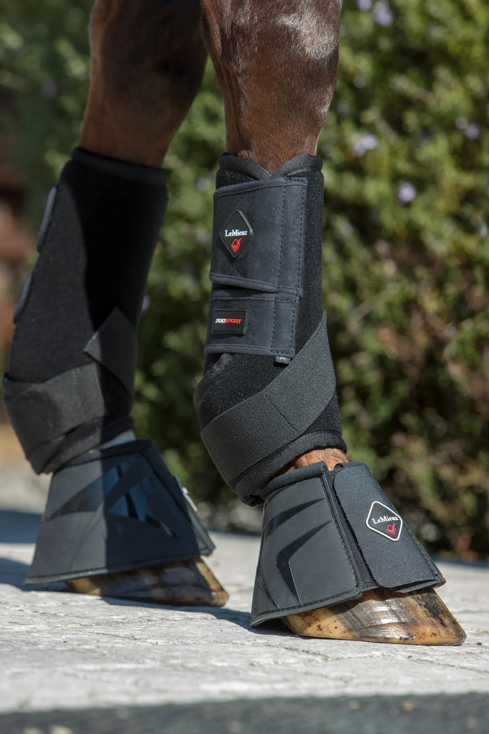 LeMieux Ultra Support Gamaschen* Dressurgamaschen