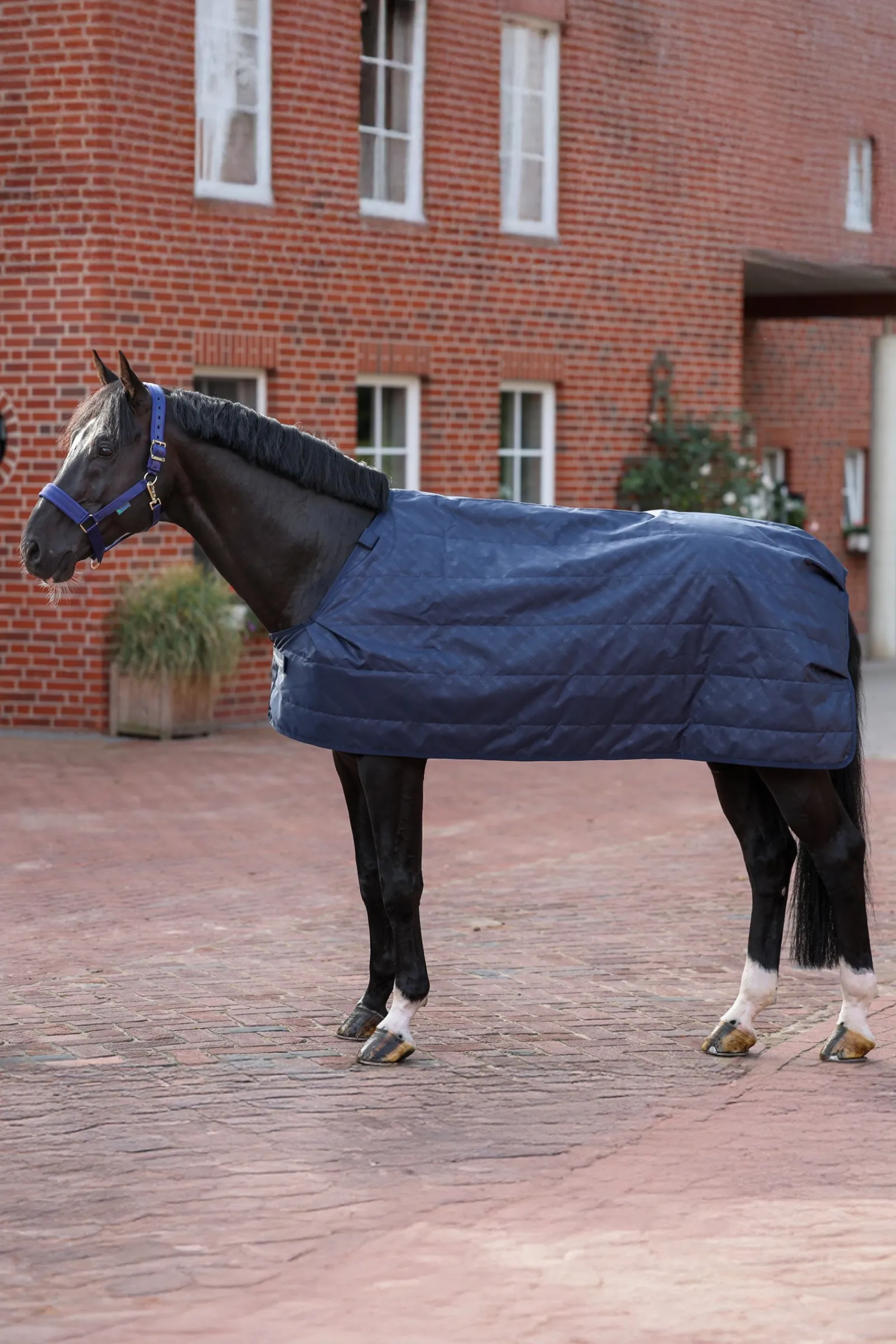 Bucas Unterdecke, 200 g* Stall- & Unterdecken