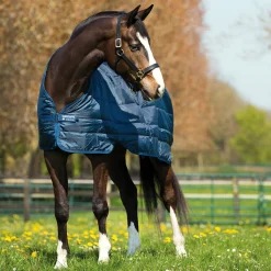 Horseware Unterdecke 400 g* Stall- & Unterdecken