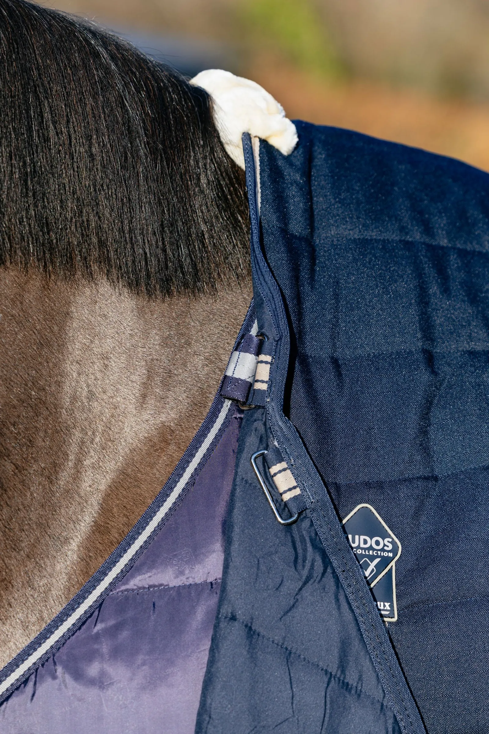 LeMieux Unterdecke, 200 g* Stall- & Unterdecken