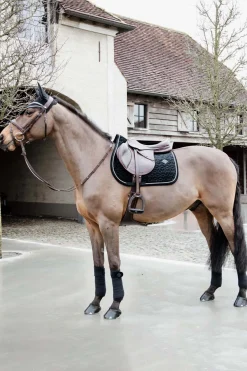 Kentucky Horsewear Velvet Basic Springschabracke* Spring- & Vielseitigkeitsschabracken