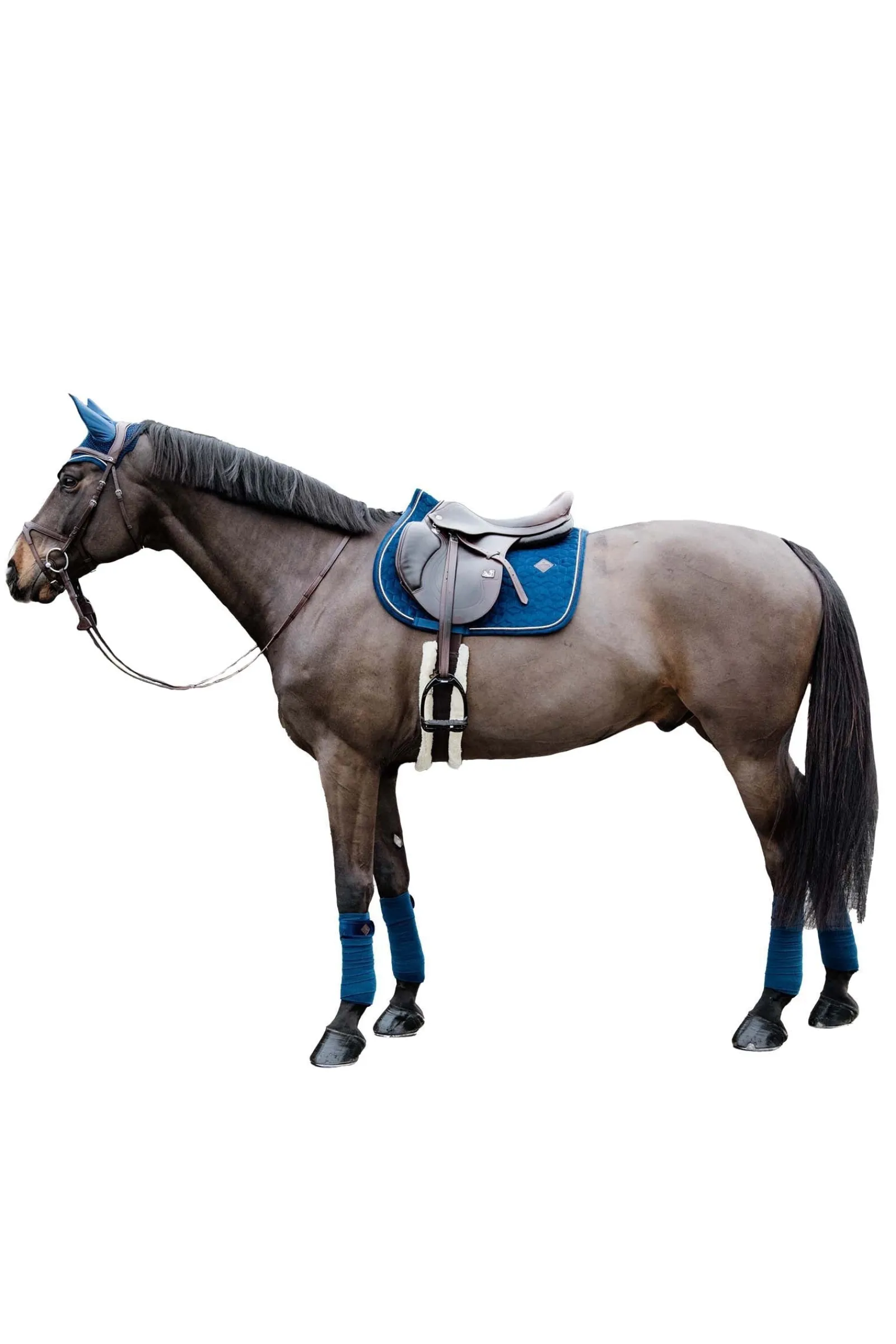 Kentucky Horsewear Velvet Basic Springschabracke* Spring- & Vielseitigkeitsschabracken