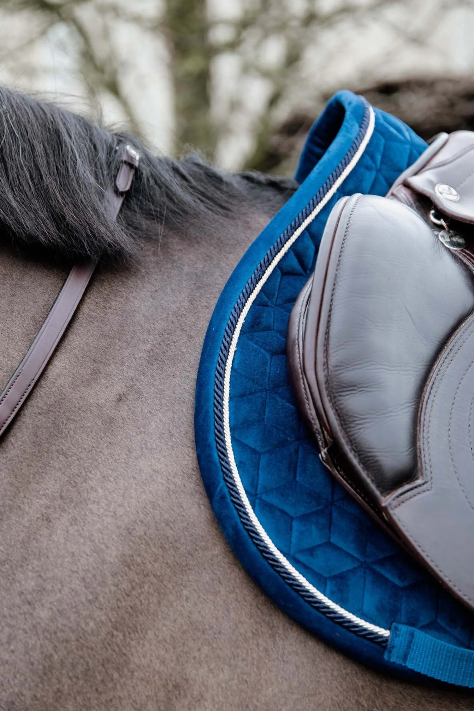 Kentucky Horsewear Velvet Basic Springschabracke* Spring- & Vielseitigkeitsschabracken