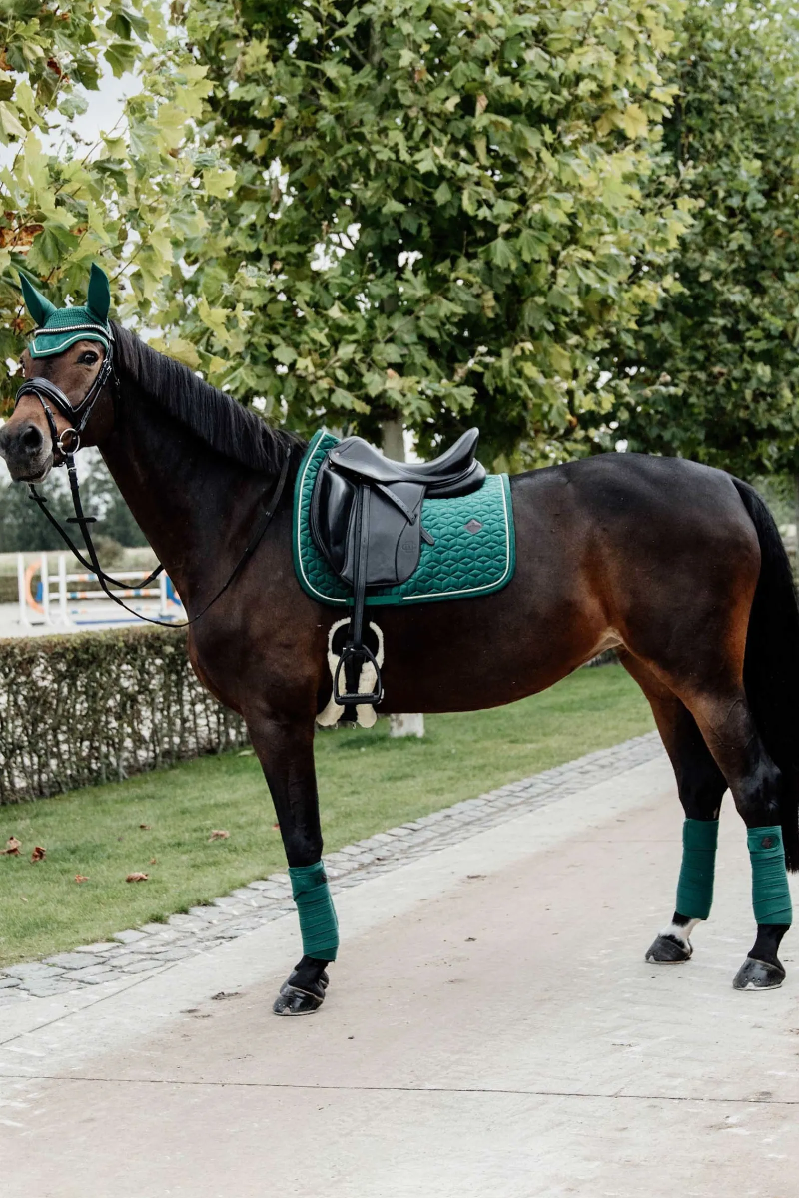 Kentucky Horsewear Velvet Dressurschabracke* Dressurschabracken