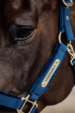 Kentucky Horsewear Velvet Halfter* Halfter
