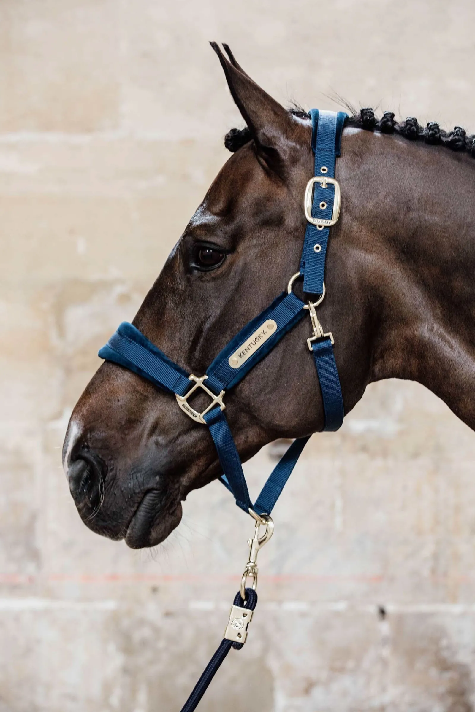 Kentucky Horsewear Velvet Halfter* Halfter