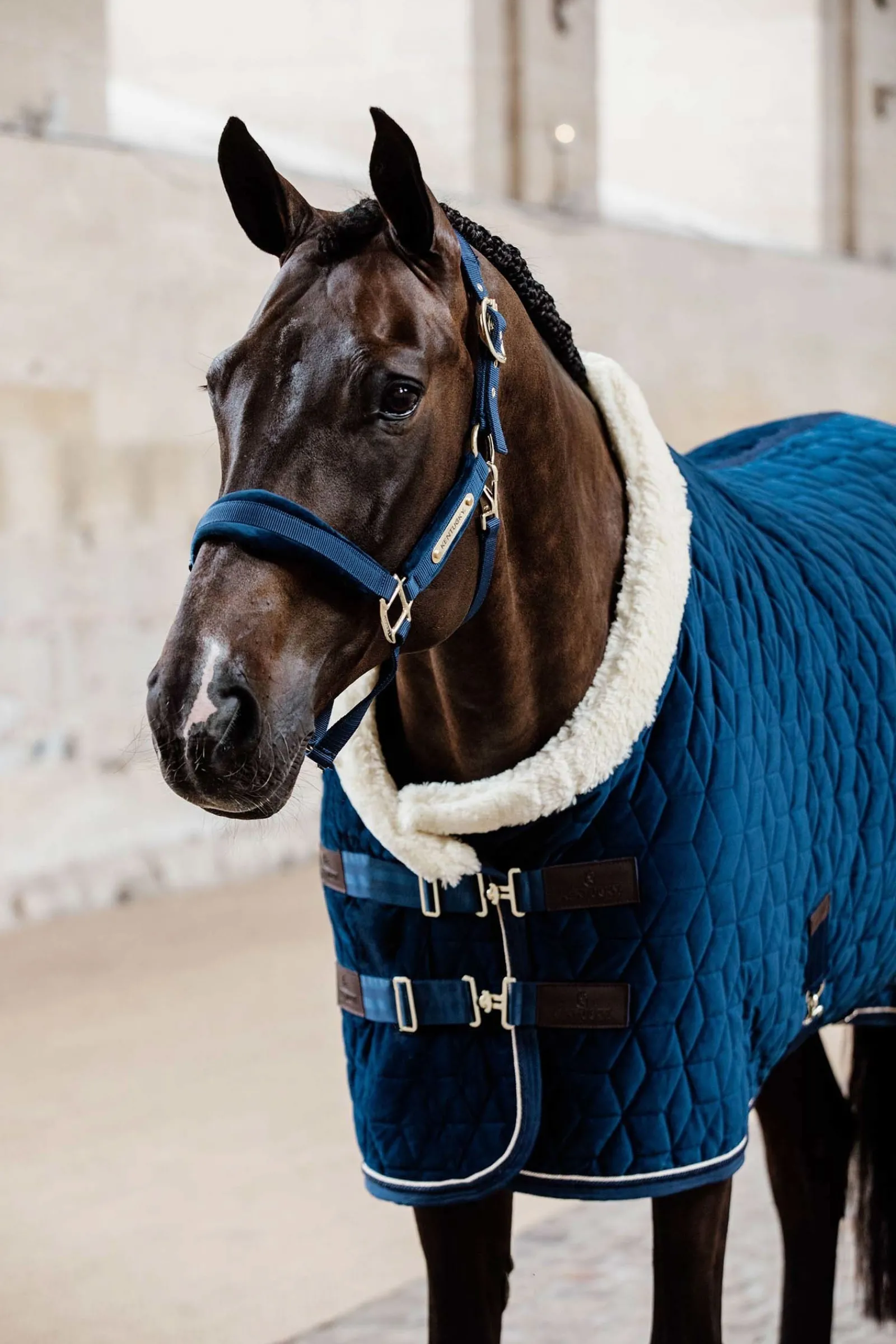 Kentucky Horsewear Velvet Halfter* Halfter