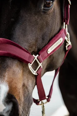 Kentucky Horsewear Velvet Halfter* Halfter