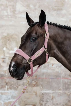 Kentucky Horsewear Velvet Halfter* Halfter