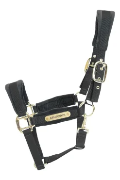 Kentucky Horsewear Velvet Halfter* Halfter