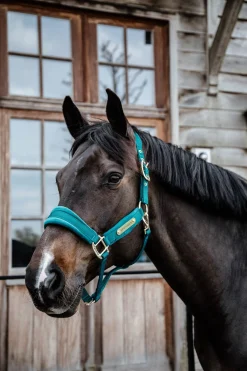 Kentucky Horsewear Velvet Halfter* Halfter