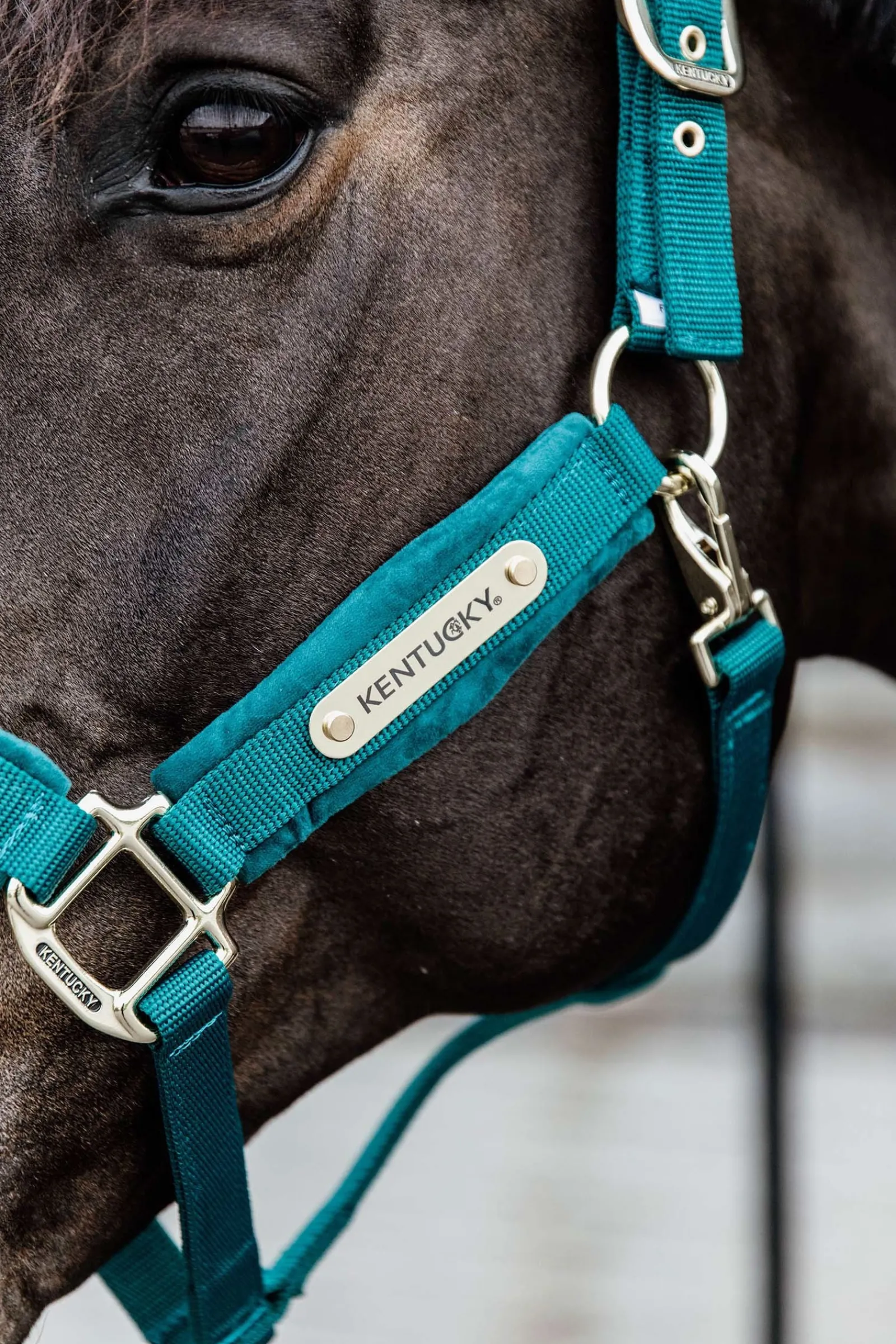 Kentucky Horsewear Velvet Halfter* Halfter