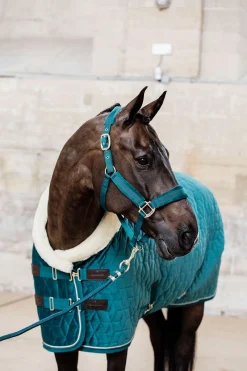 Kentucky Horsewear Velvet Halfter* Halfter