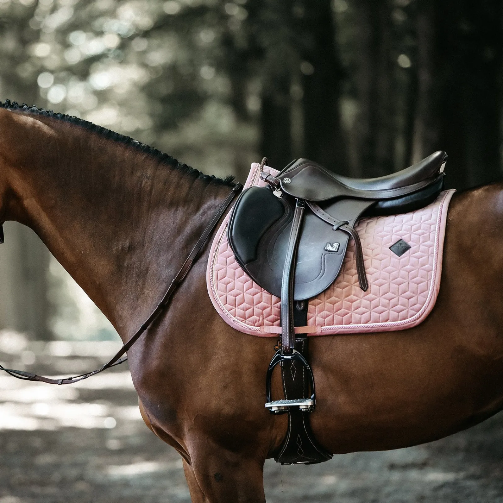 Kentucky Horsewear Velvet Springschabracke* Spring- & Vielseitigkeitsschabracken