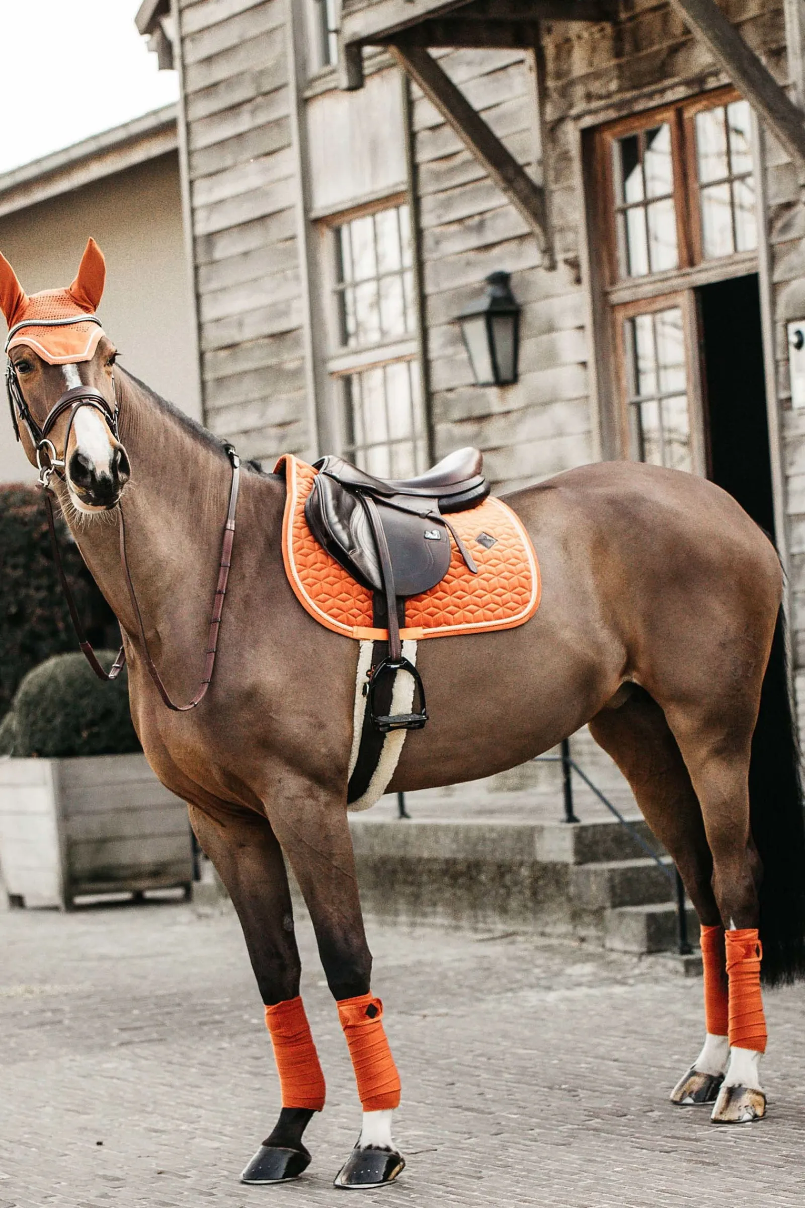 Kentucky Horsewear Velvet Springschabracke* Spring- & Vielseitigkeitsschabracken