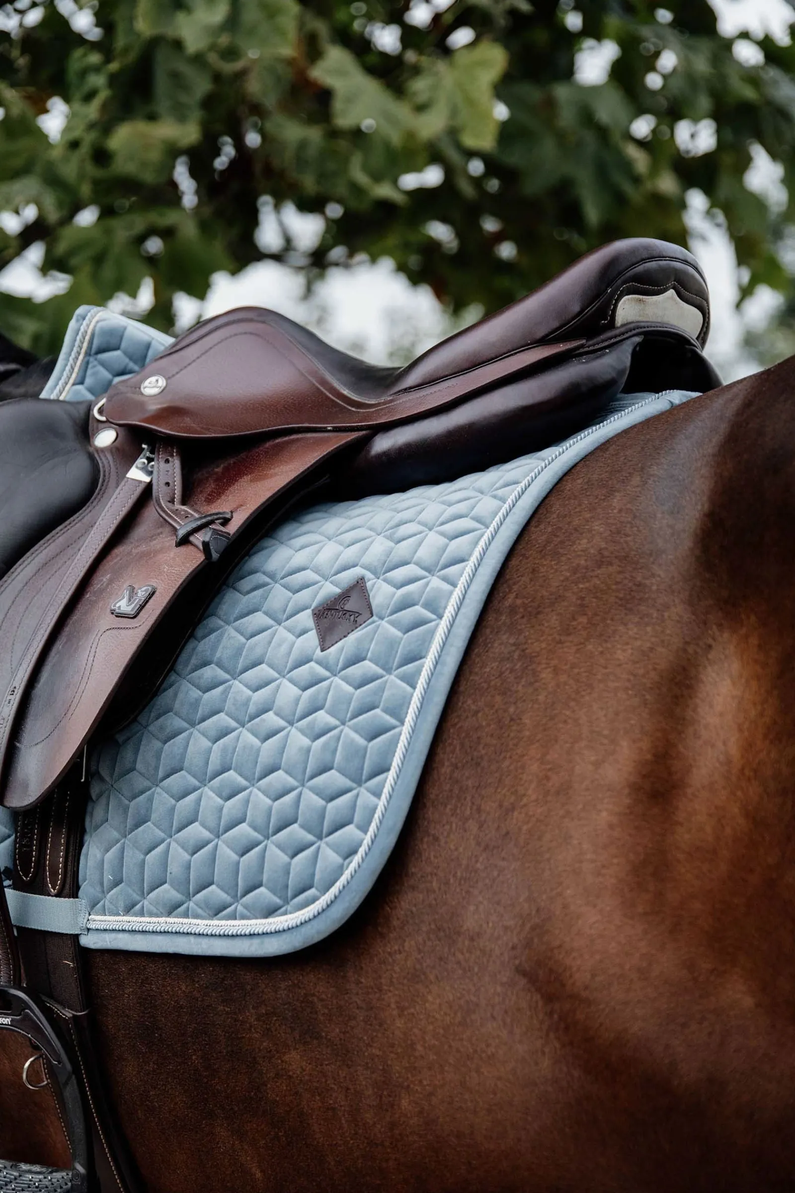 Kentucky Horsewear Velvet Springschabracke* Spring- & Vielseitigkeitsschabracken