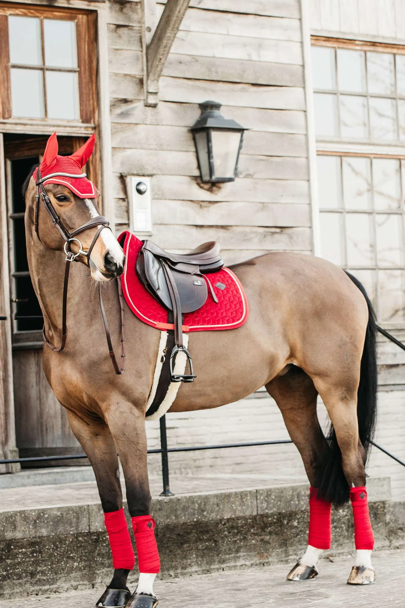 Kentucky Horsewear Velvet Springschabracke* Spring- & Vielseitigkeitsschabracken