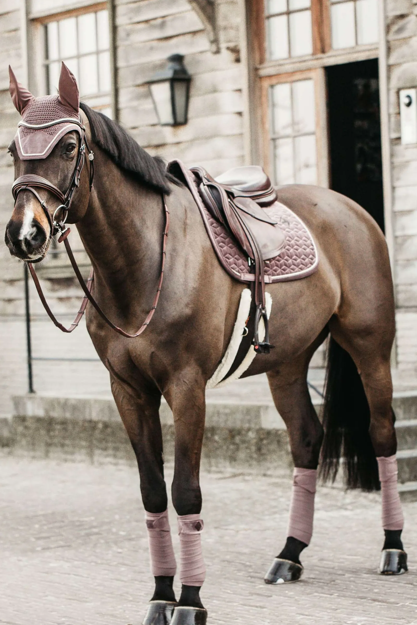 Kentucky Horsewear Velvet Springschabracke* Spring- & Vielseitigkeitsschabracken