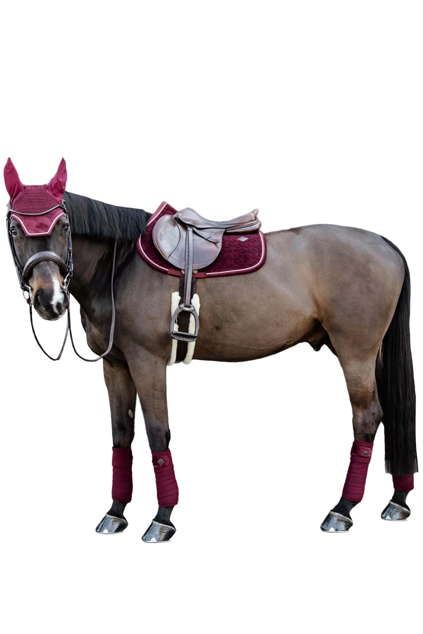 Kentucky Horsewear Velvet Springschabracke* Spring- & Vielseitigkeitsschabracken