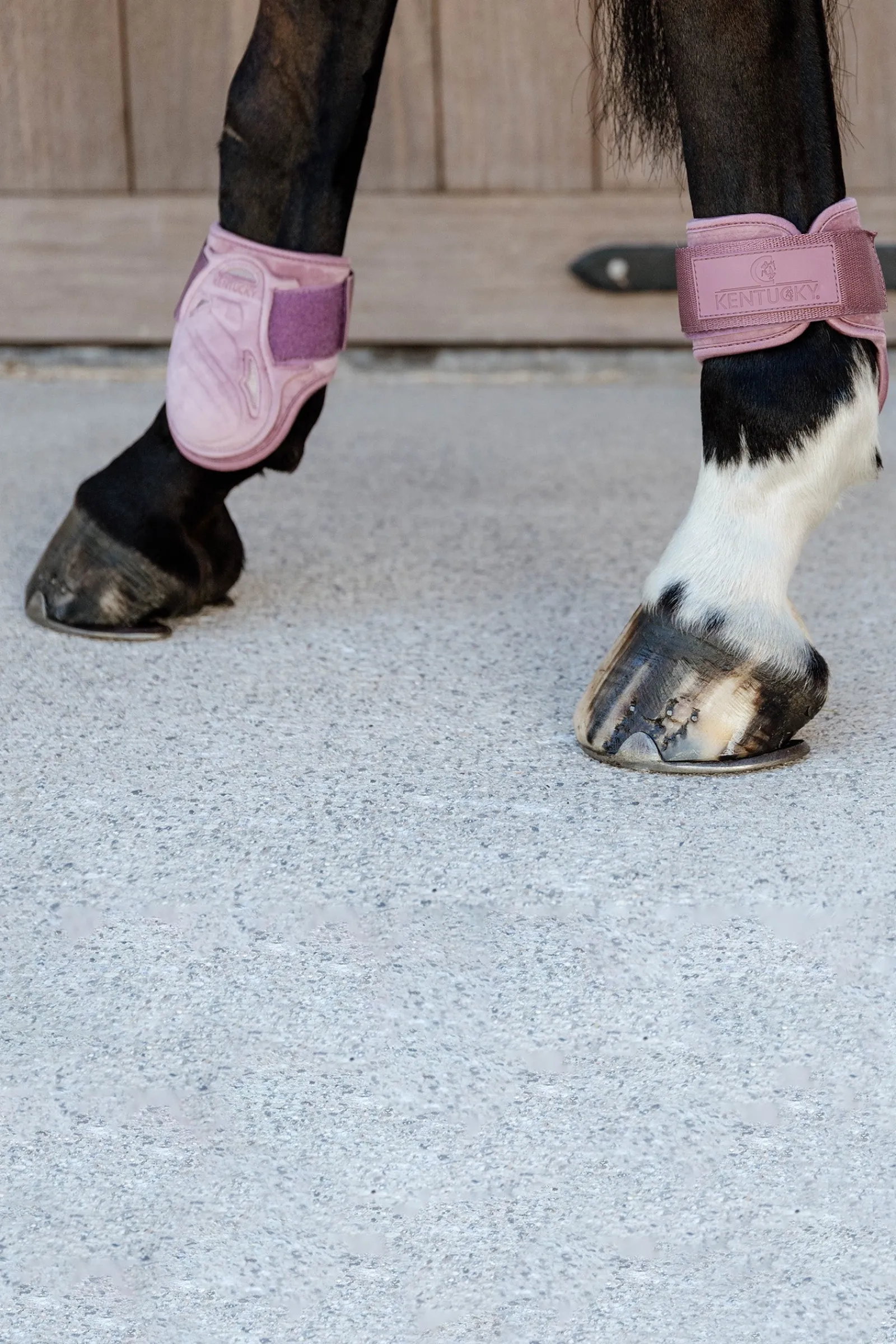 Kentucky Horsewear Velvet Streichkappen für Jungferde* Streichkappen