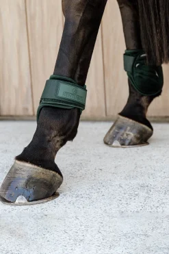 Kentucky Horsewear Velvet Streichkappen für Jungferde* Streichkappen