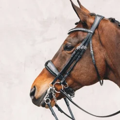 Schockemöhle Sports Venice Double Bridle* Trensen & Nasenriemen