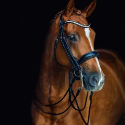 Schockemöhle Sports Venice Double Bridle* Trensen & Nasenriemen