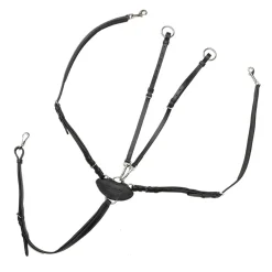 Kavalkade V-Shape Vorderzeug* Vorderzeuge & Martingale