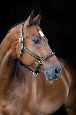 Horze Warren weiches Lederhalfter* Lederhalfter