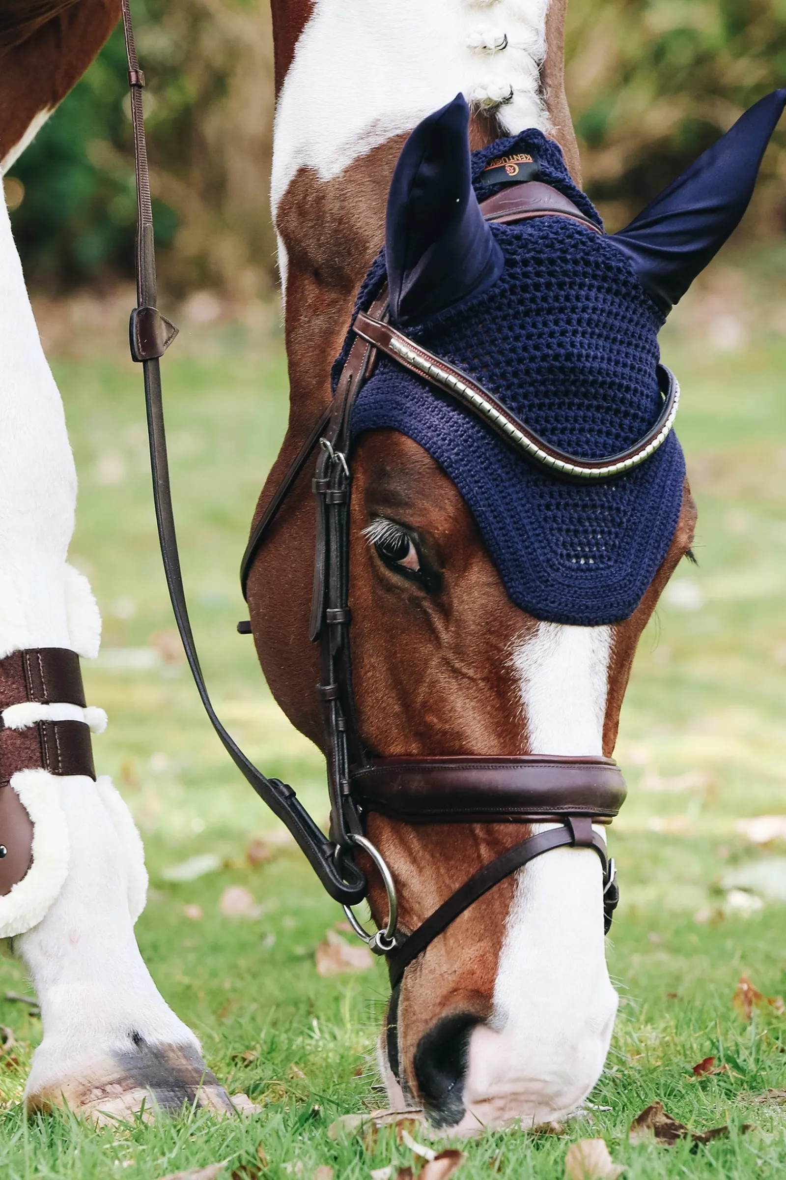 Kentucky Horsewear Wellington Fliegenhaube* Ohrenhauben|Ohrenhauben