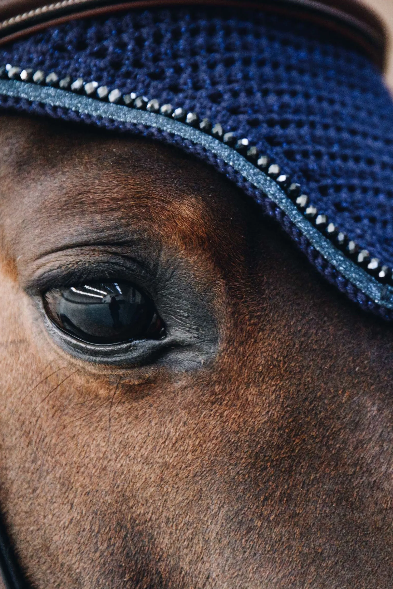 Kentucky Horsewear Wellington Glitter Fliegenhaube* Ohrenhauben|Ohrenhauben