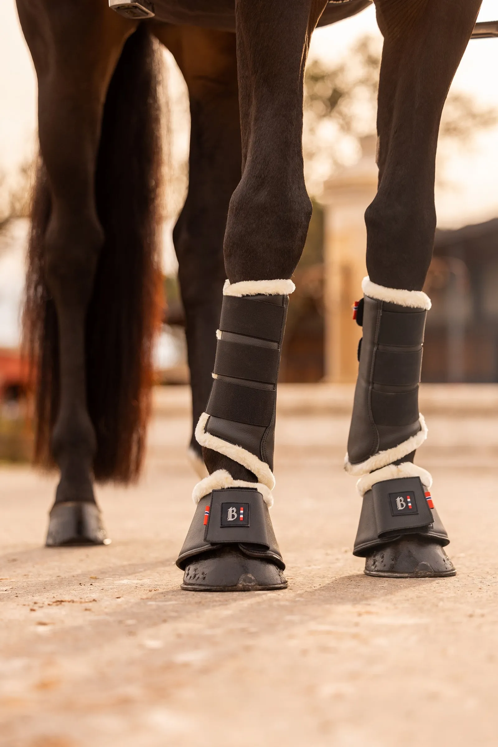 B Vertigo Wellington Hufglocken* Over Reach Boots