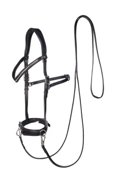 F.R.A. Freedom Riding Articles Wendy B Kappzaum, Gebisslose Trense, Lederzügel mit Clip* Hilfszügel|Trainingshilfen