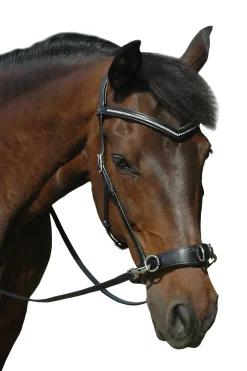 F.R.A. Freedom Riding Articles Wendy B Kappzaum, Gebisslose Trense, Lederzügel mit Clip* Hilfszügel|Trainingshilfen