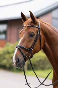 Horze Weston Trense* Trensen & Nasenriemen